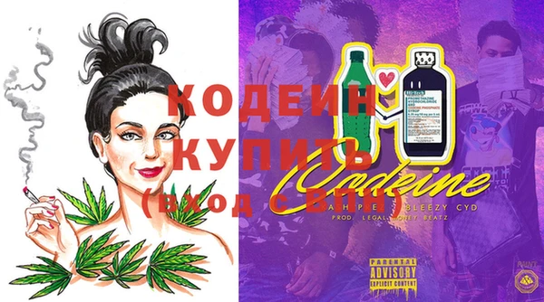 ПСИЛОЦИБИНОВЫЕ ГРИБЫ Тавда
