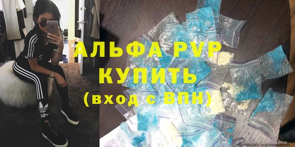 ПСИЛОЦИБИНОВЫЕ ГРИБЫ Тавда