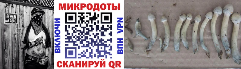 Купить  Спас-Клепики  Галлюциногенные грибы прущие грибы 