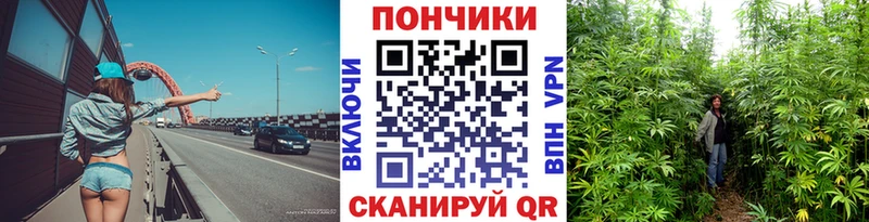 Бошки Шишки Bruce Banner Спас-Клепики